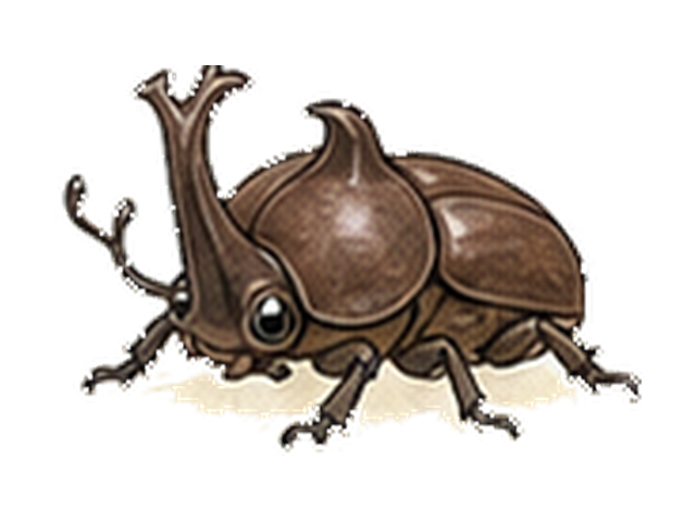 カブトムシの図鑑イラスト