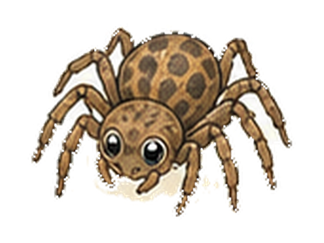 クモの図鑑イラスト
