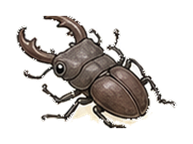 クワガタムシの図鑑イラスト