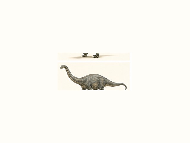 アパトサウルスの図鑑イラスト