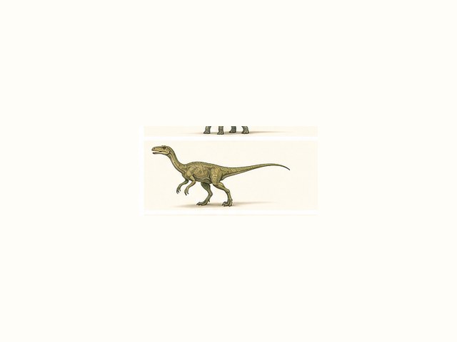 コンプソグナトゥスの図鑑イラスト