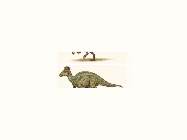 コリトサウルスの図鑑イラスト