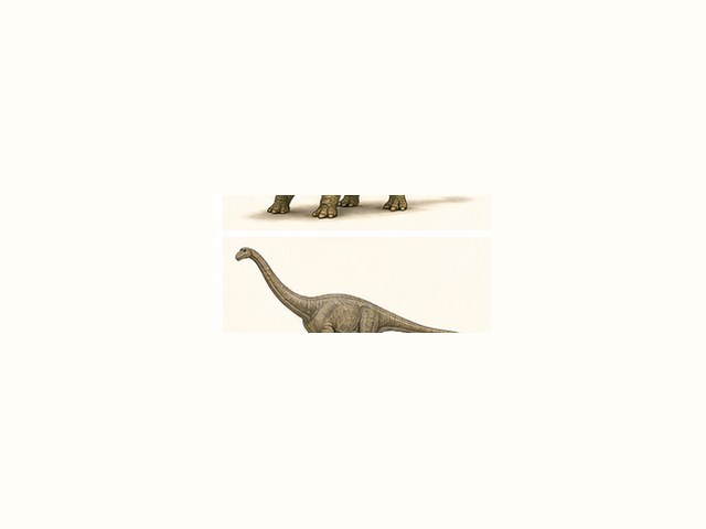 ディプロドクスの図鑑イラスト