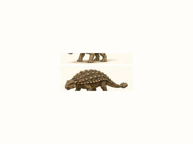エウオプロケファルスの図鑑イラスト