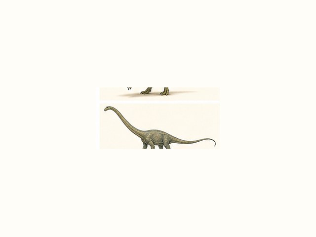 マメンチサウルスの図鑑イラスト