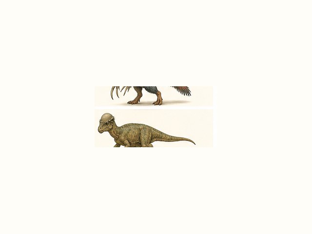 パキケファロサウルスの図鑑イラスト