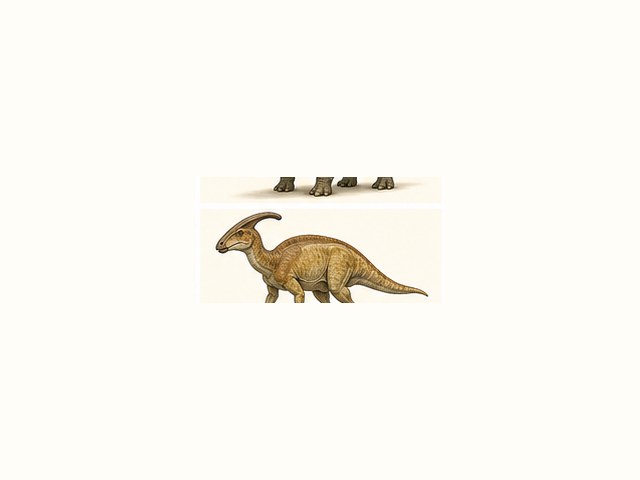 パラサウロロフスの図鑑イラスト