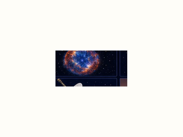 超新星の図鑑イラスト